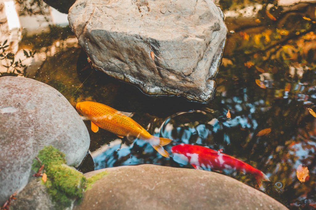 koi pond air pump