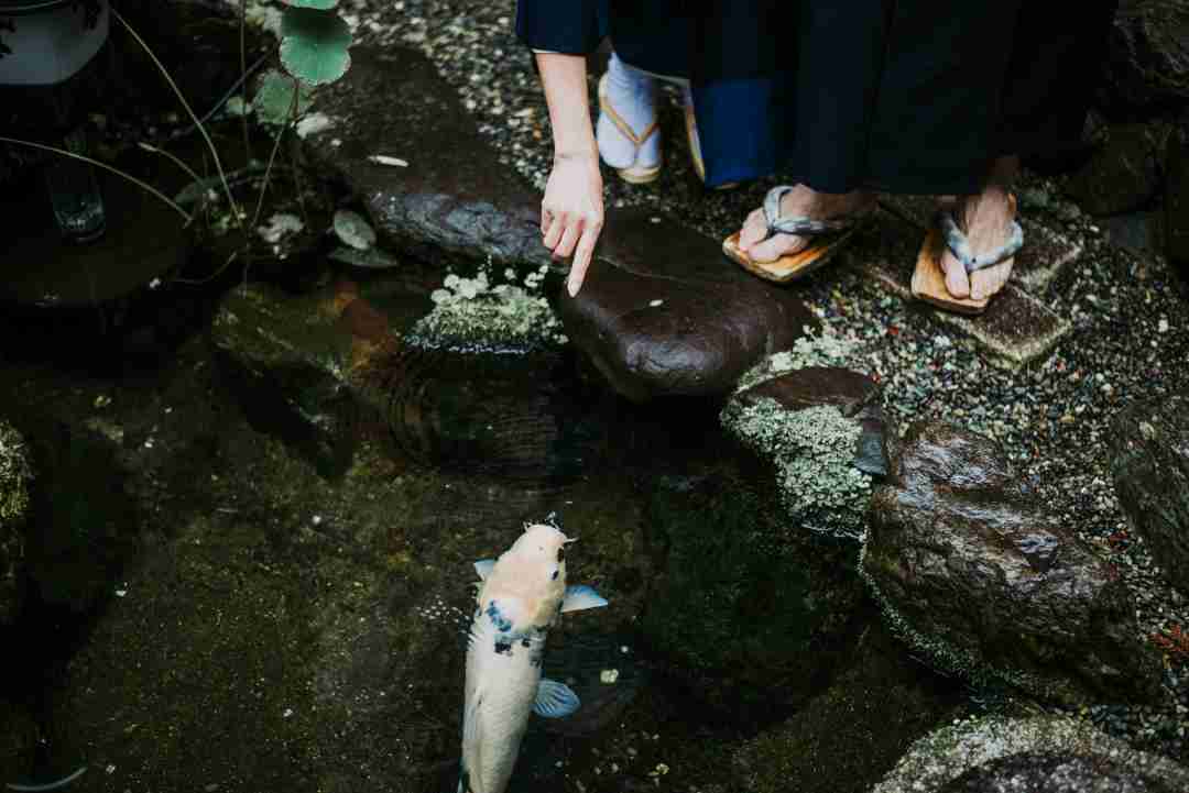 modern koi pond designs, a woman pointing at a koi fish