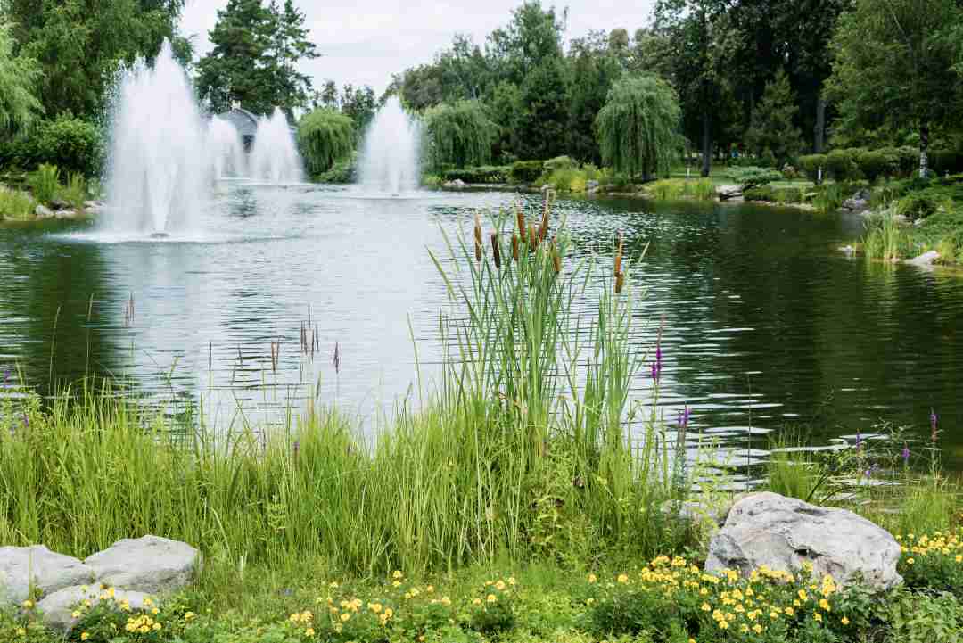 pond aerator, fountains in a natural pond